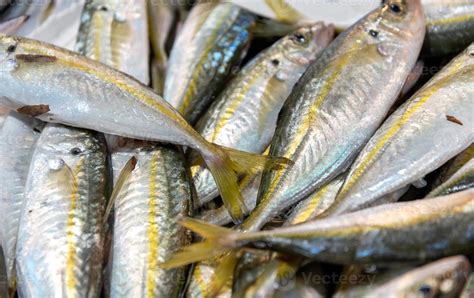 karga burot|Tureng .